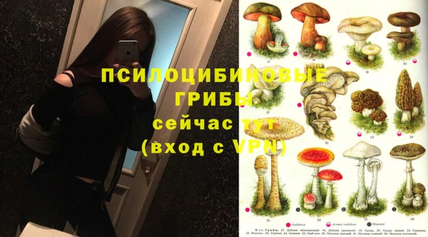 Альфа ПВП Алексеевка